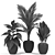 Green Oasis: Exquisite Plant Collection 3D model small image 5