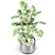  Botanical Bliss: Nature's Green Haven 3D model small image 2