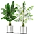 Tropical Oasis: 419 Plants 3D model small image 2