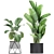 Tropical Plant Collection: Exotic Indoor & Outdoor Decor 3D model small image 3