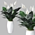 Elegant Peace Lily Plant 3D model small image 3