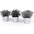 FEJKA Artificial Potted Plants: Lifelike Décor 3D model small image 2