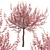Flowering Almond Tree Duo (2 Trees) - Lovely Prunus Triloba Pair 3D model small image 2