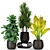 Exquisite Plants Collection 423 3D model small image 2