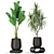 Exquisite Plants Collection 423 3D model small image 3