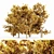 Korean Stewartia Forest: Fall 5-Tree Collection 3D model small image 1