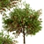 Dual Apple Tree Set 3D model small image 3