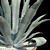 Title: American Blue Agave: Stunning Potted Plant 3D model small image 5