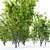 Marshall Green Ash: Seedless Fraxinus 3D model small image 4