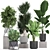 Exotic Plant Collection: Schefflera, Banana Palm & More 3D model small image 1