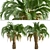 Premium Set of Butia Capitata Trees 3D model small image 3