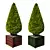 Title: Giant Thuja Folded Sculpture 3D model small image 1