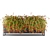 Greenery Collection Vol. 19: High-Quality 3D Plant Models 3D model small image 3