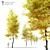 Flowering Ash: Autumn Elegance 3D model small image 1