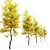 Flowering Ash: Autumn Elegance 3D model small image 2
