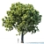 Trio of Majestic Oak Trees 3D model small image 2