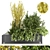 Premium Plant Collection: Volume 23 3D model small image 1