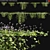 Viola hederacea - Australian Beauty 3D model small image 1