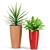  Vibrant Botanical Oasis: Plants Collection 436 3D model small image 3
