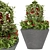 Premium Plant Collection Vol. 34 3D model small image 1