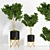 3D Plant Indoor03: Lifelike and Versatile 3D model small image 1