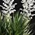 Yucca Gloriosa: Elegant Mound Lily 3D model small image 3
