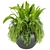 High-Quality Plant Collection (Vol 46) 3D model small image 2