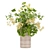 Premium Plant Collection: Vol. 49 3D model small image 2