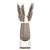 Elegant Dried Pampas Set 3D model small image 11