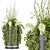 Plant Collection 54: High-Quality 3D Models 3D model small image 1