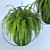 Lush Green Hanging Fern Duo 3D model small image 2