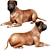  Lifelike Bullmastiff Dog Model 3D model small image 2