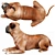  Lifelike Bullmastiff Dog Model 3D model small image 3