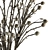 Papavet Dried Plant Bouquet 3D model small image 3