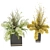 Gorgeous Collection of Plant Vol 56 3D model small image 3