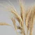 Golden Harvest Wheat Bouquets 3D model small image 3