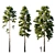 18m Pinus sylvestris Tree 3D model small image 8