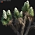 Desert Dream Yucca Tree - 3D Model 3D model small image 2