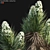 Desert Dream Yucca Tree - 3D Model 3D model small image 4