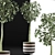 Heartleaf Indoor Plant: Elegant Corner Decor 3D model small image 3