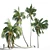 Tropical Coconut Palm Trees 3D model small image 2