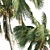 Tropical Coconut Palm Trees 3D model small image 3