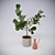 Realistic Fiddle-Leaf Fig 3D Model 3D model small image 2