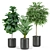 Lush Greenery Set 440 3D model small image 2