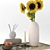 Sunflower Beauty Set 3D model small image 2