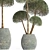 Exotic Houseplants: 3D Plant Collection 3D model small image 2