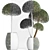 Exotic Houseplants: 3D Plant Collection 3D model small image 3