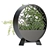 Deluxe Flora: Premium Plant Collection 3D model small image 3