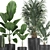 Exotic Plant Collection in Black Pots 3D model small image 4