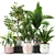 Exquisite Botanical Oasis: Plants Collection 442 3D model small image 1